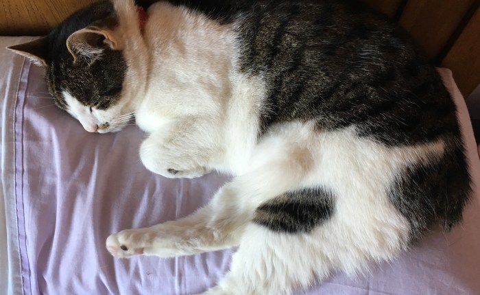 A Little Gratitude&nbsp;List…