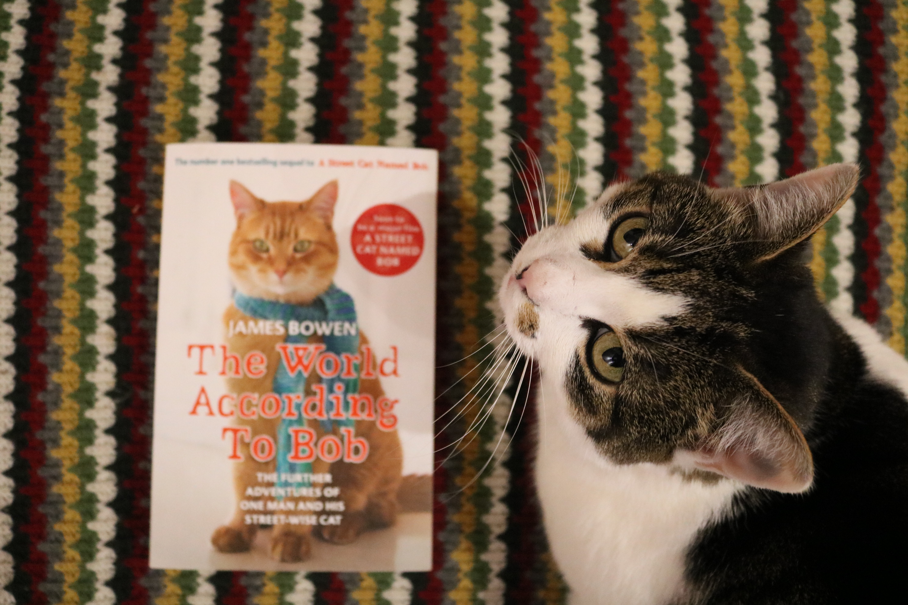 TheWorldAccordingtoBobandMara