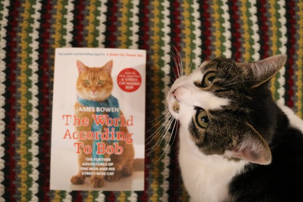 TheWorldAccordingtoBobandMara