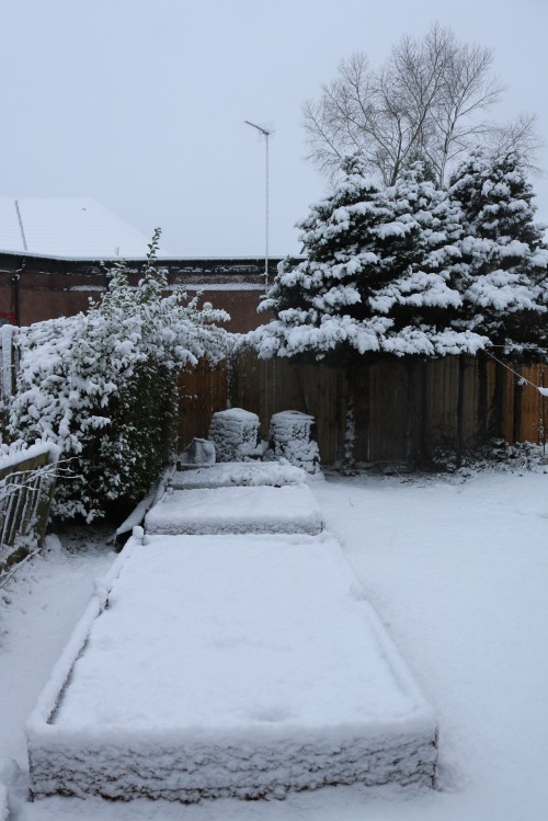 3 JanuarySnow2