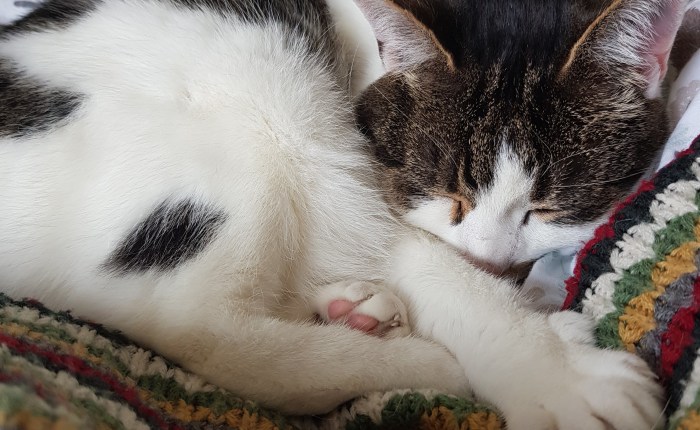 A Little Spring in My&nbsp;Step