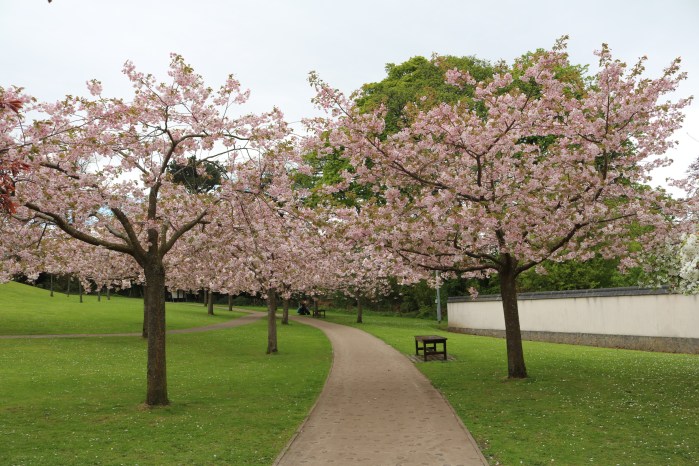 15 Kyoto Friendship Garden2