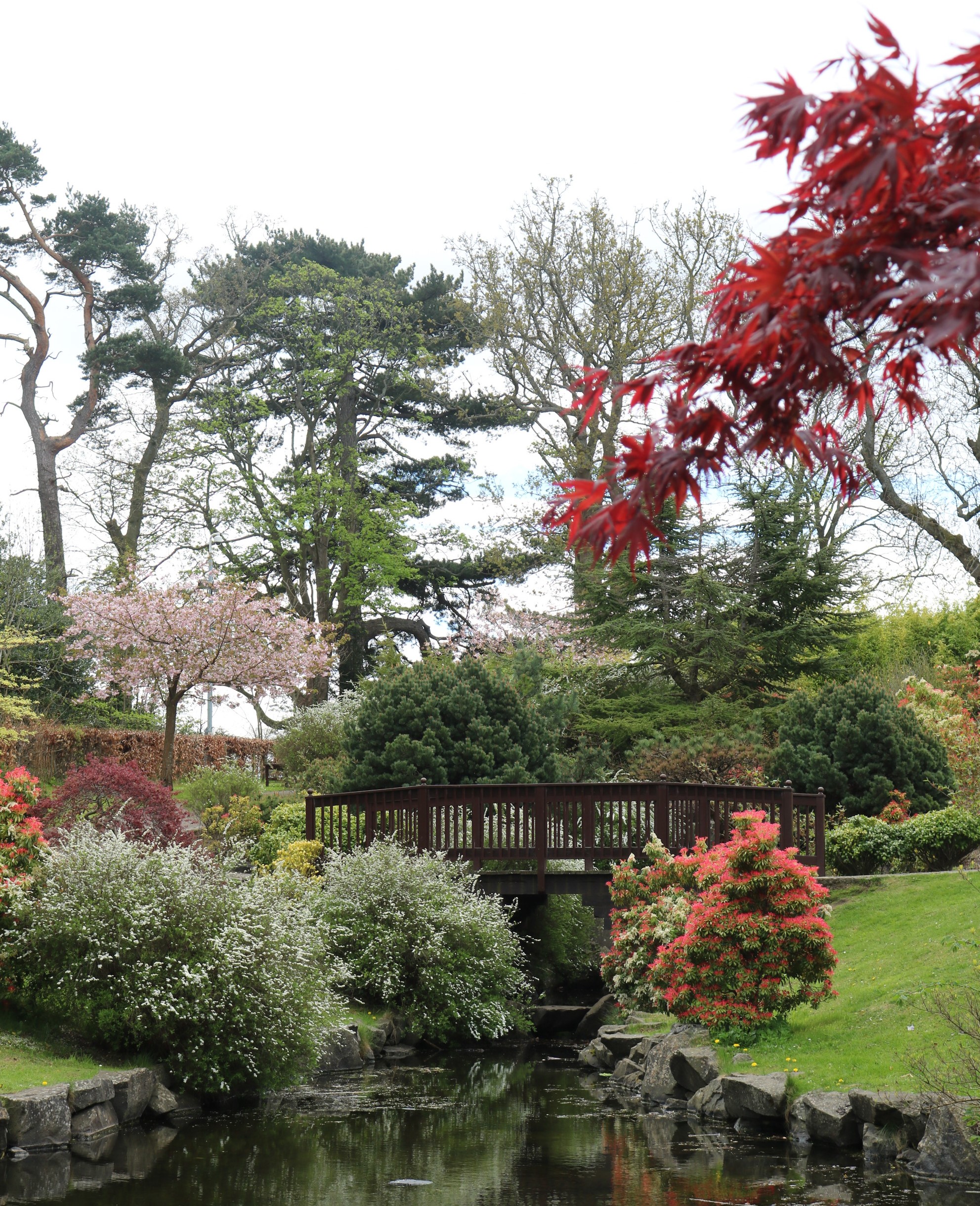 15 Kyoto Friendship Garden3