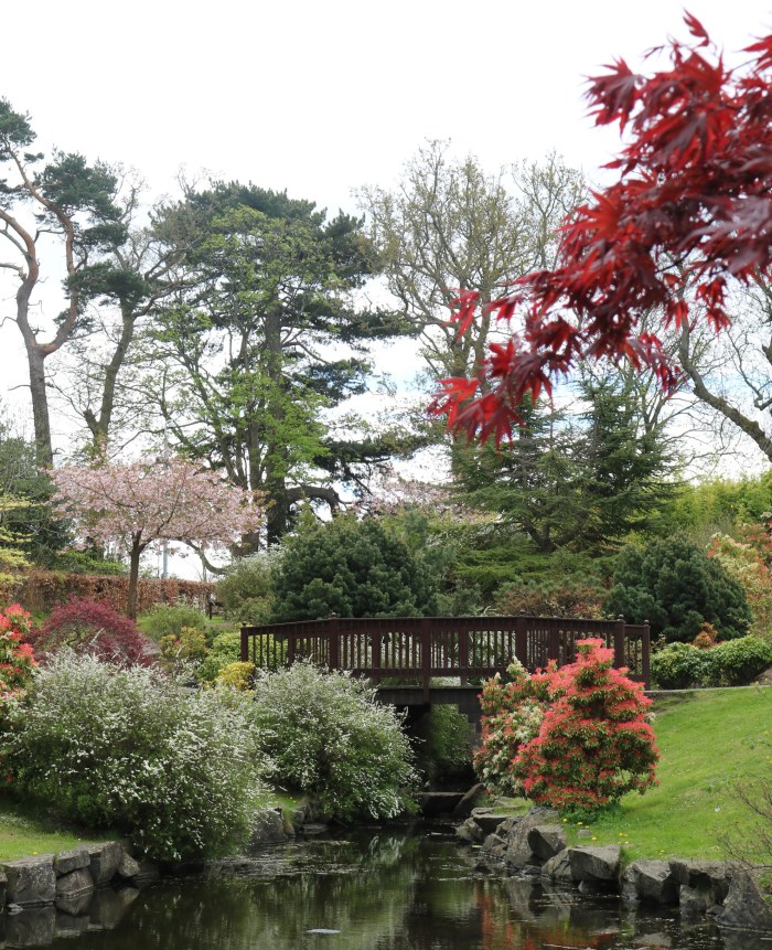 15 Kyoto Friendship Garden3