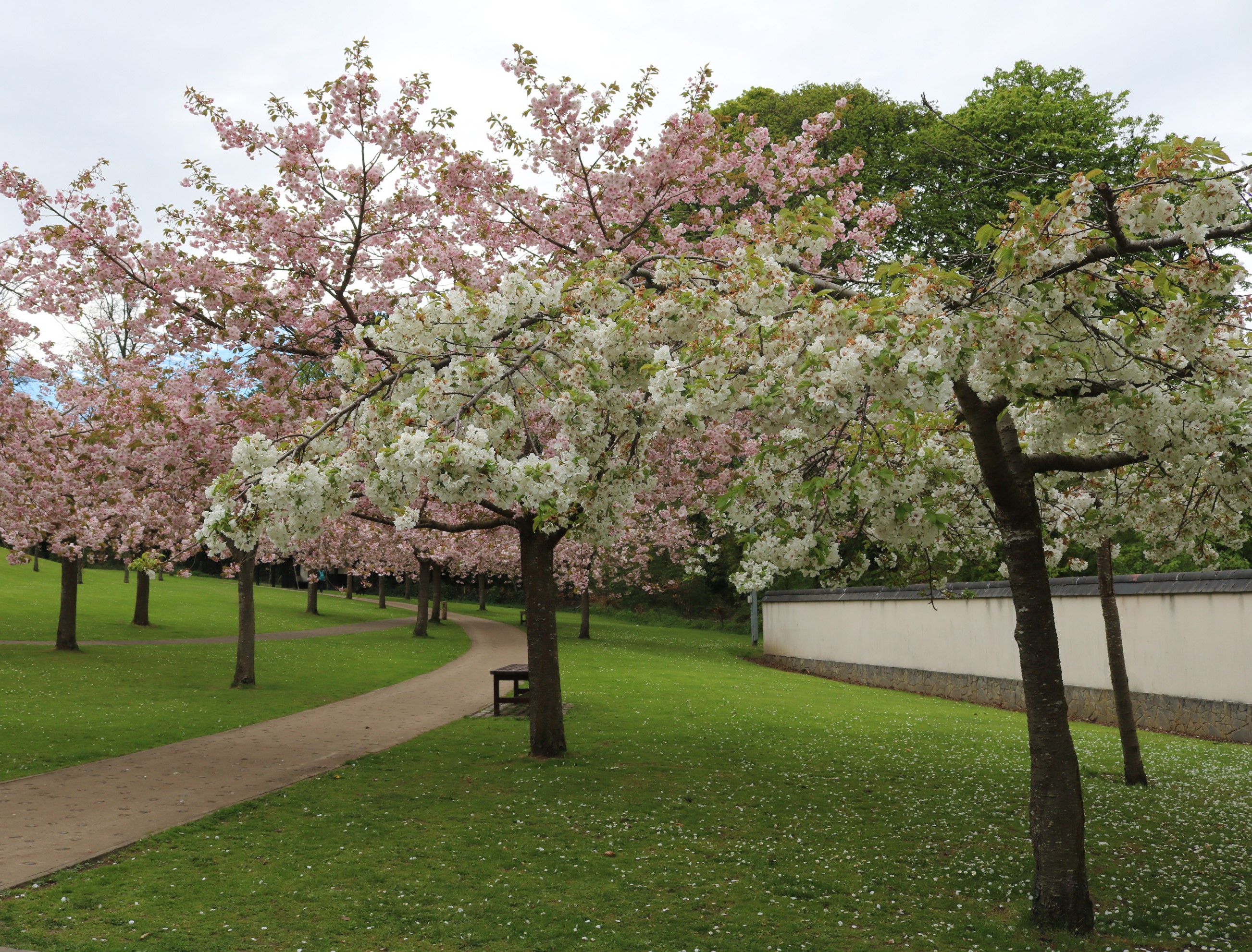 15 Kyoto Friendship Garden4