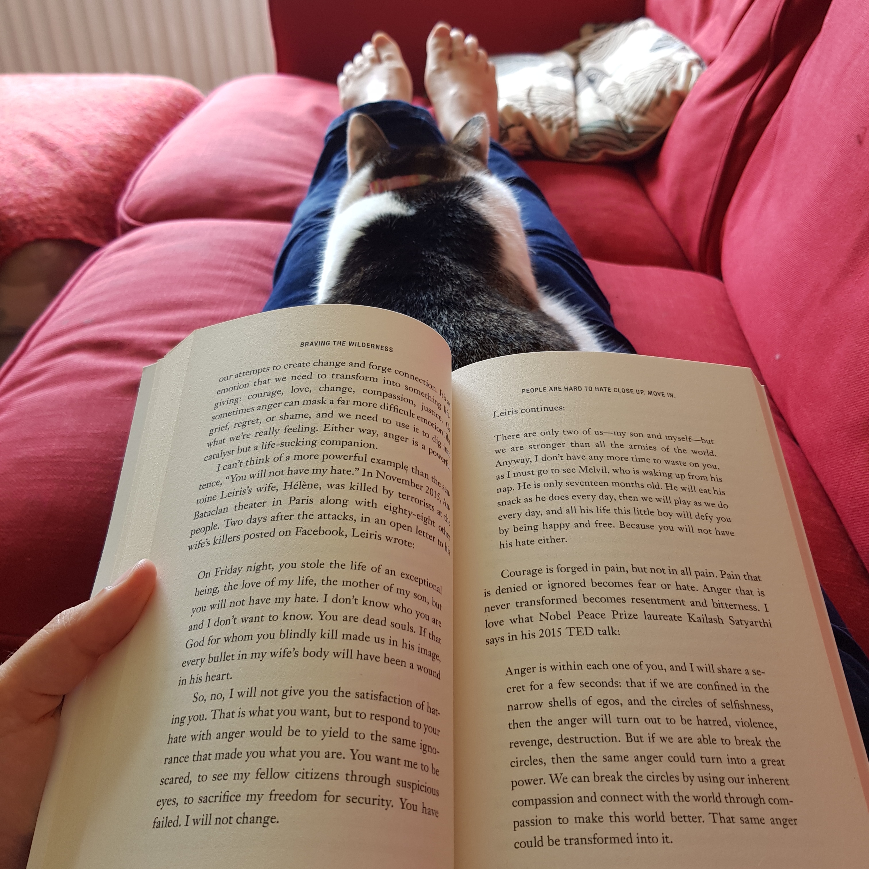 Braving theWilderness2