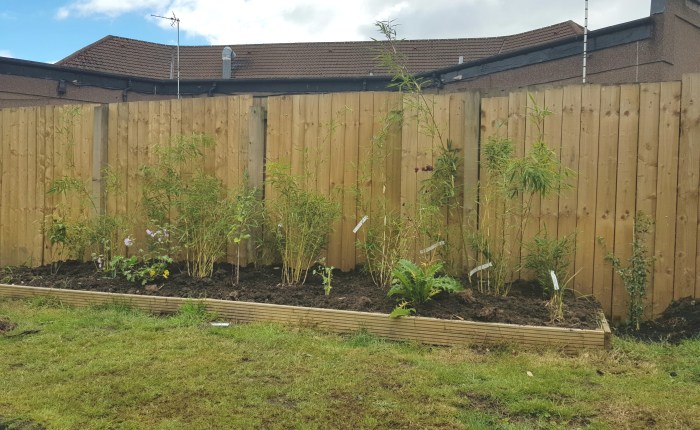 Late Summer in the&nbsp;Garden