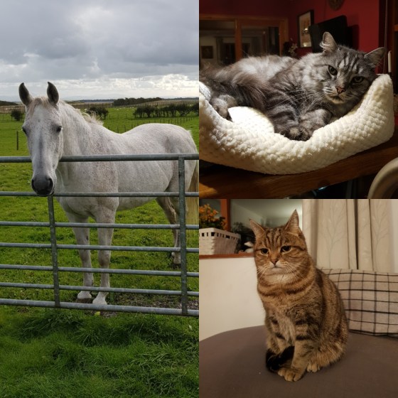 31 Making new friends