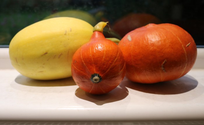 On the Cusp of&nbsp;Autumn