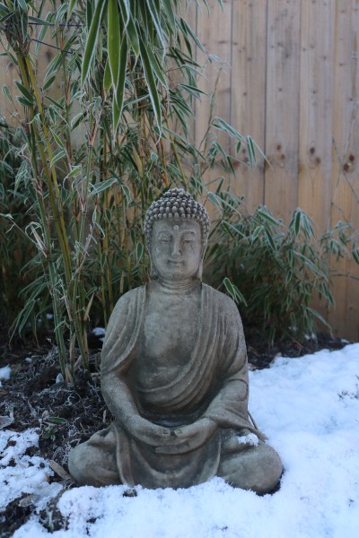 buddha and bamboo