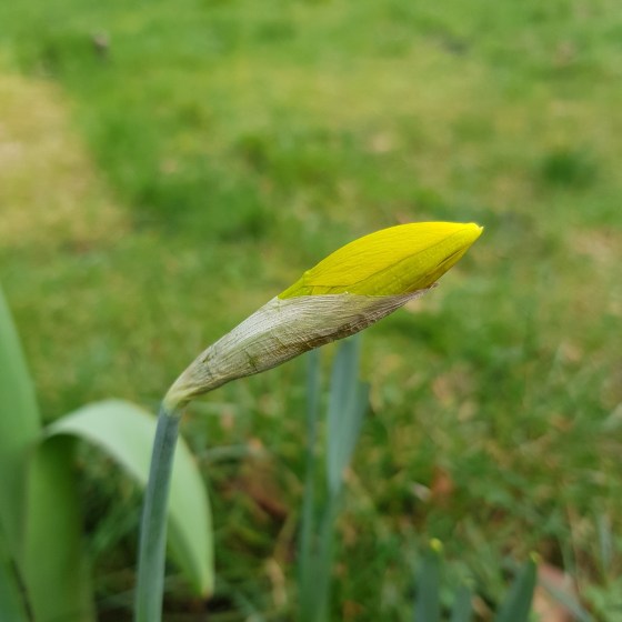 Early Signs of Spring