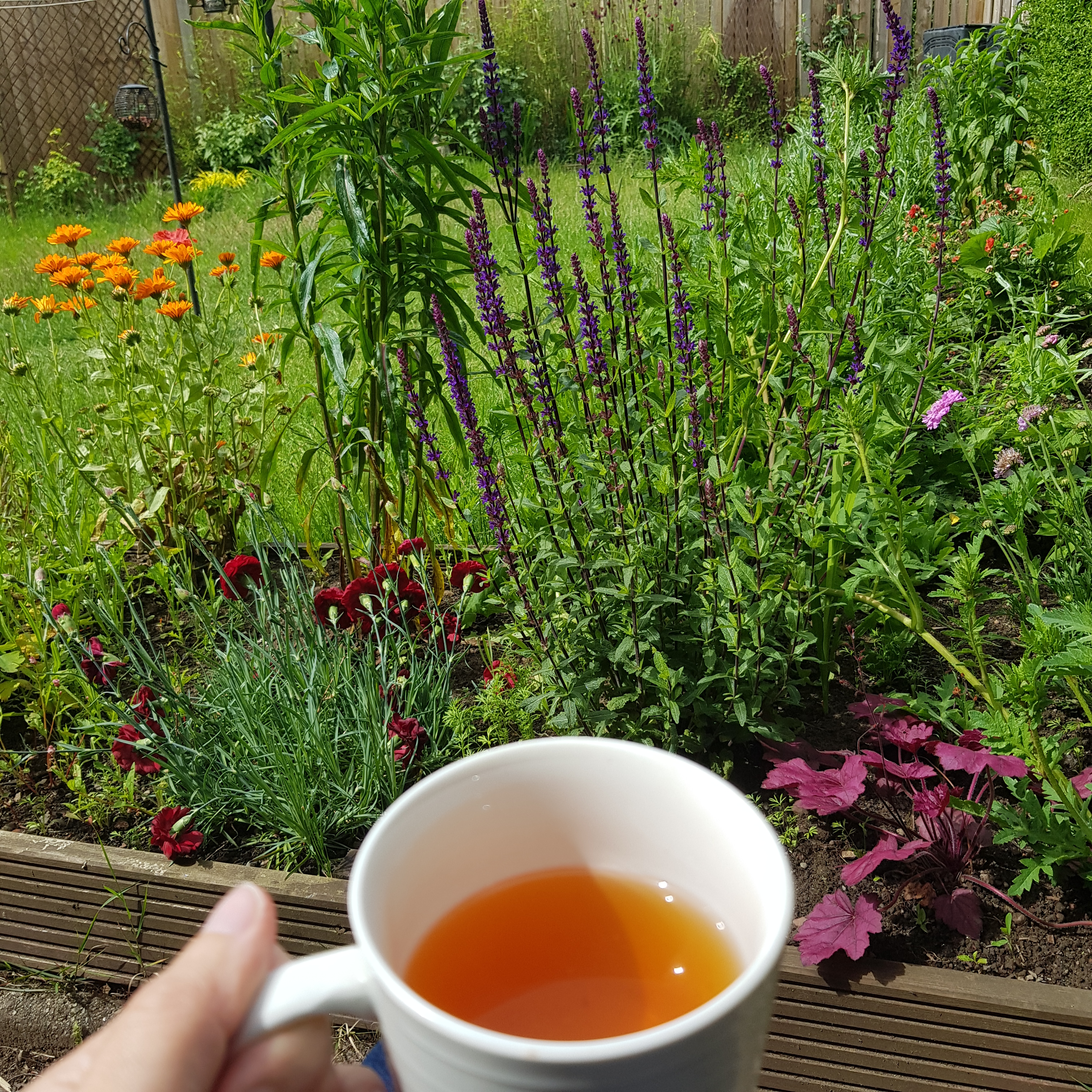 Tea in the Garden