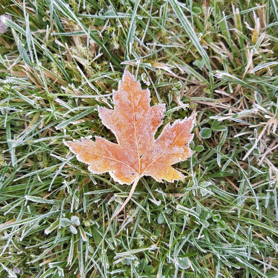 Halloween Happenings