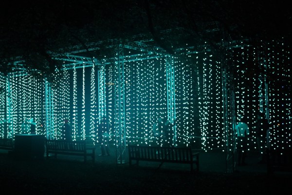 Halloween Happenings2