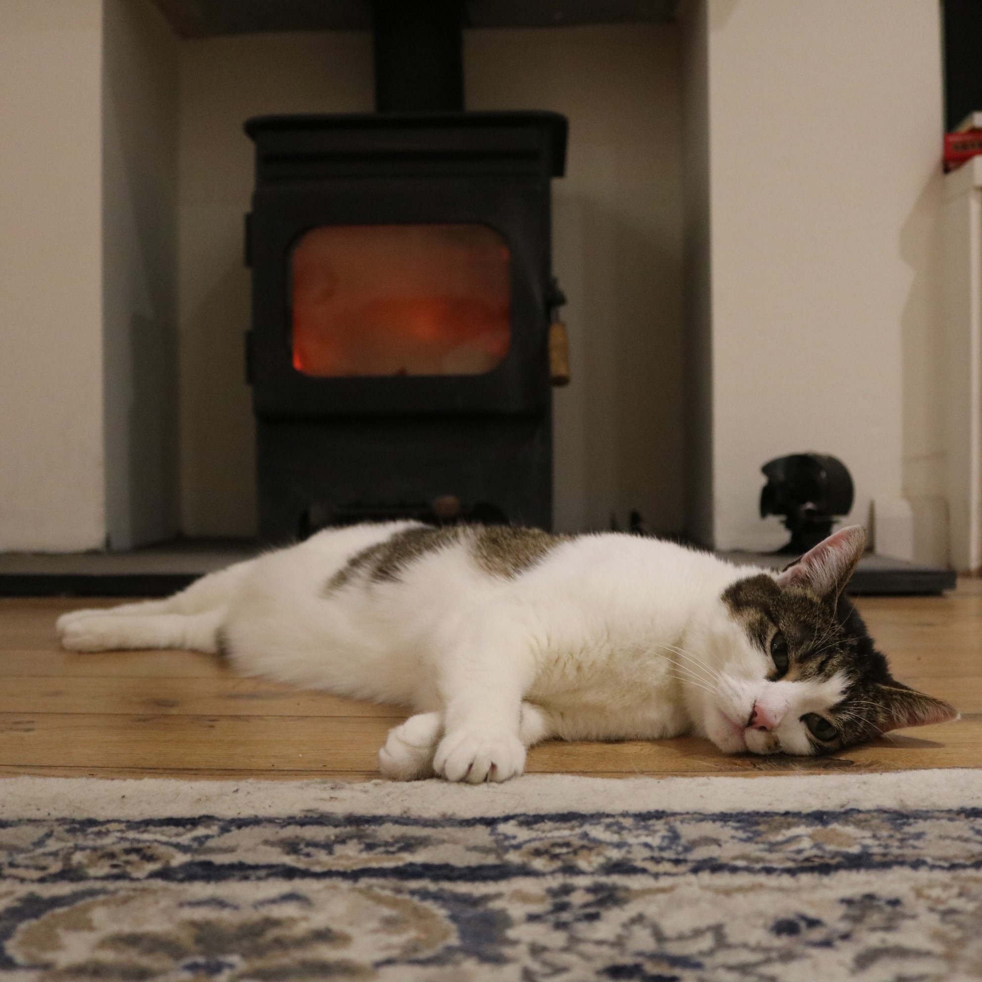 Halloween Happenings6