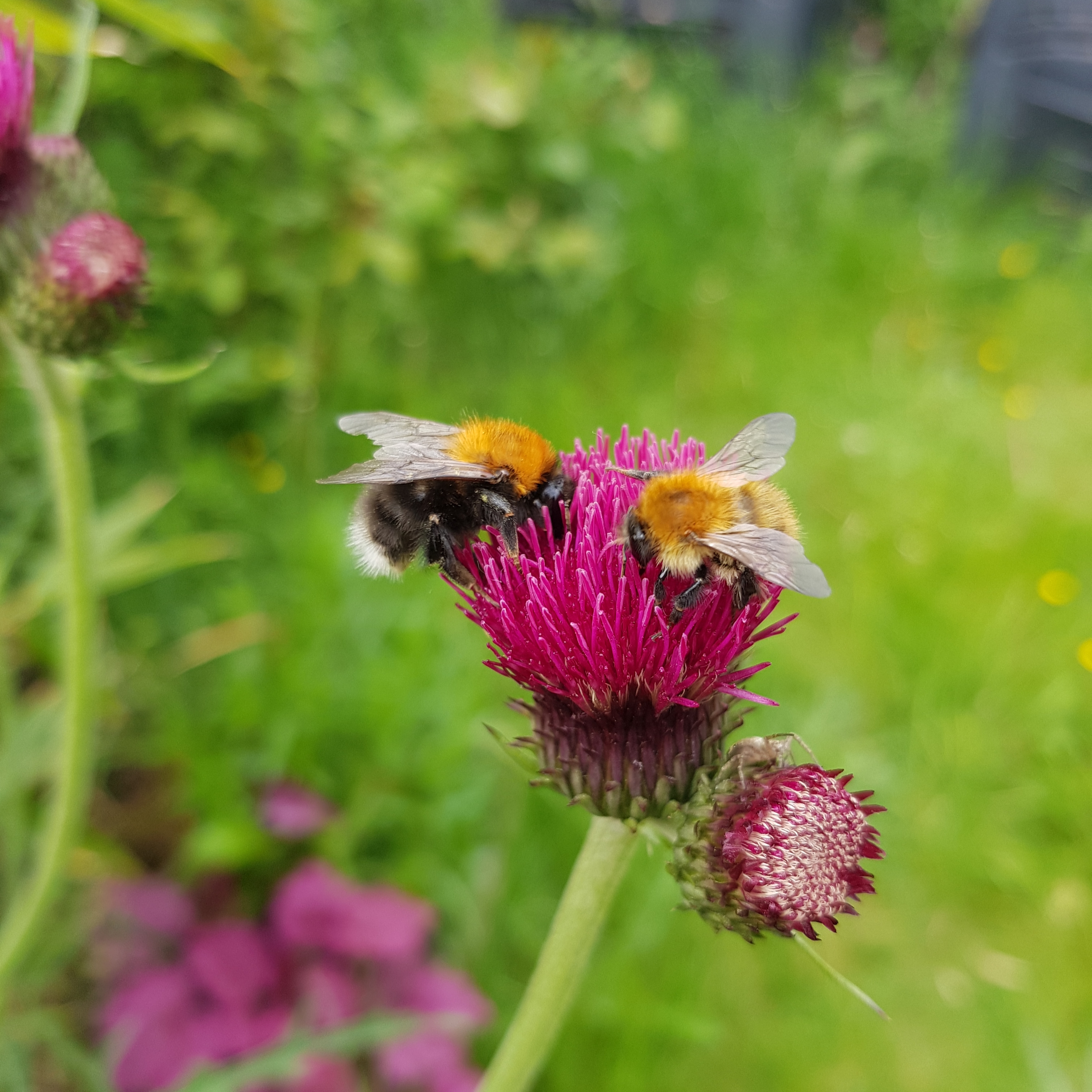 Emerging from Lockdown