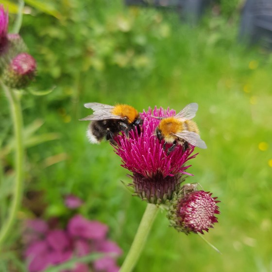 Emerging from Lockdown