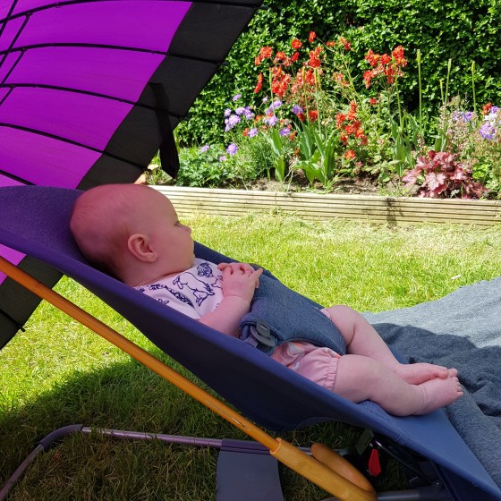 Emerging from Lockdown2