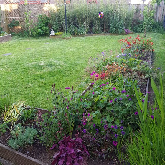 Emerging from Lockdown3